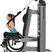 Abdominal / Biceps gallery detail image