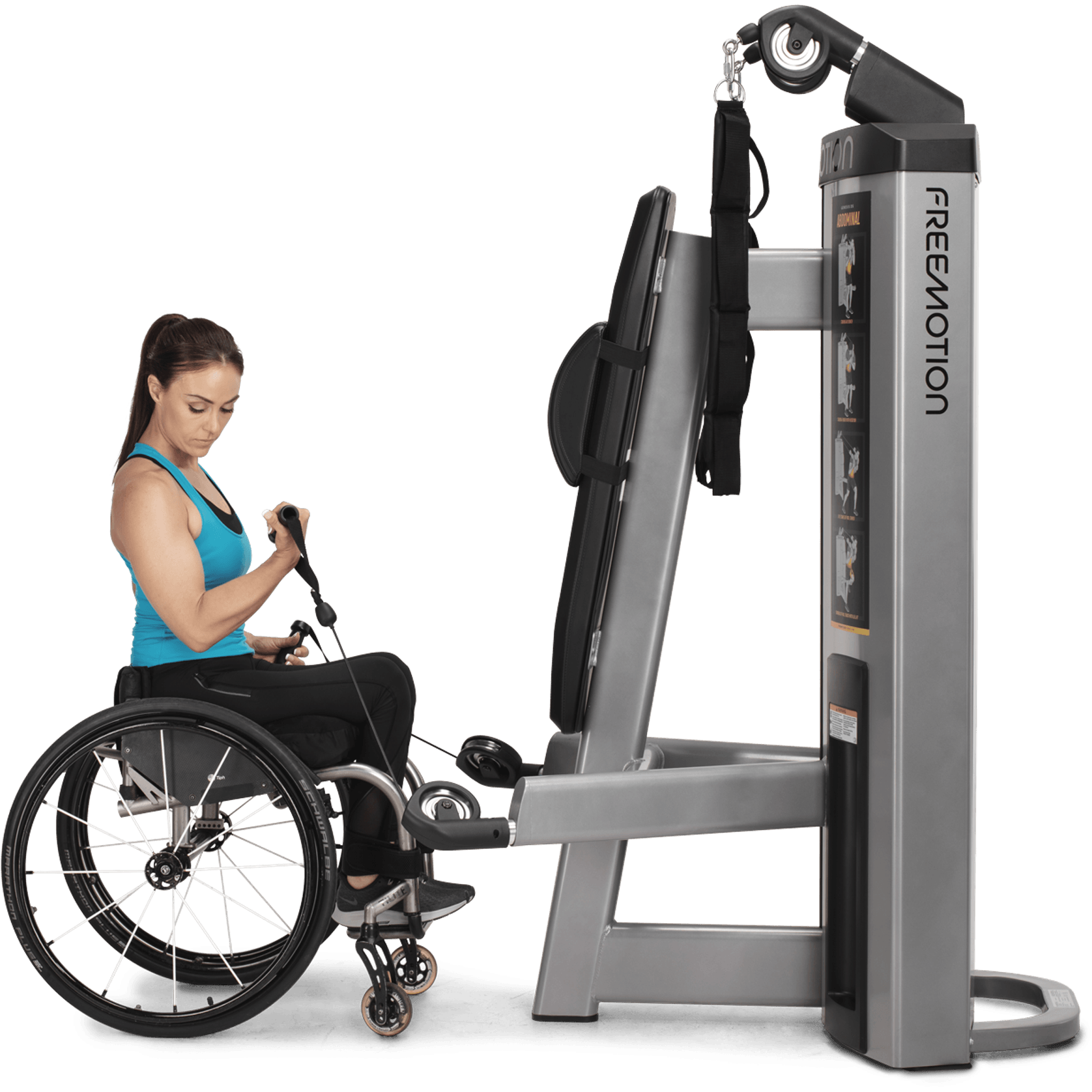 Abdominal / Biceps gallery detail image