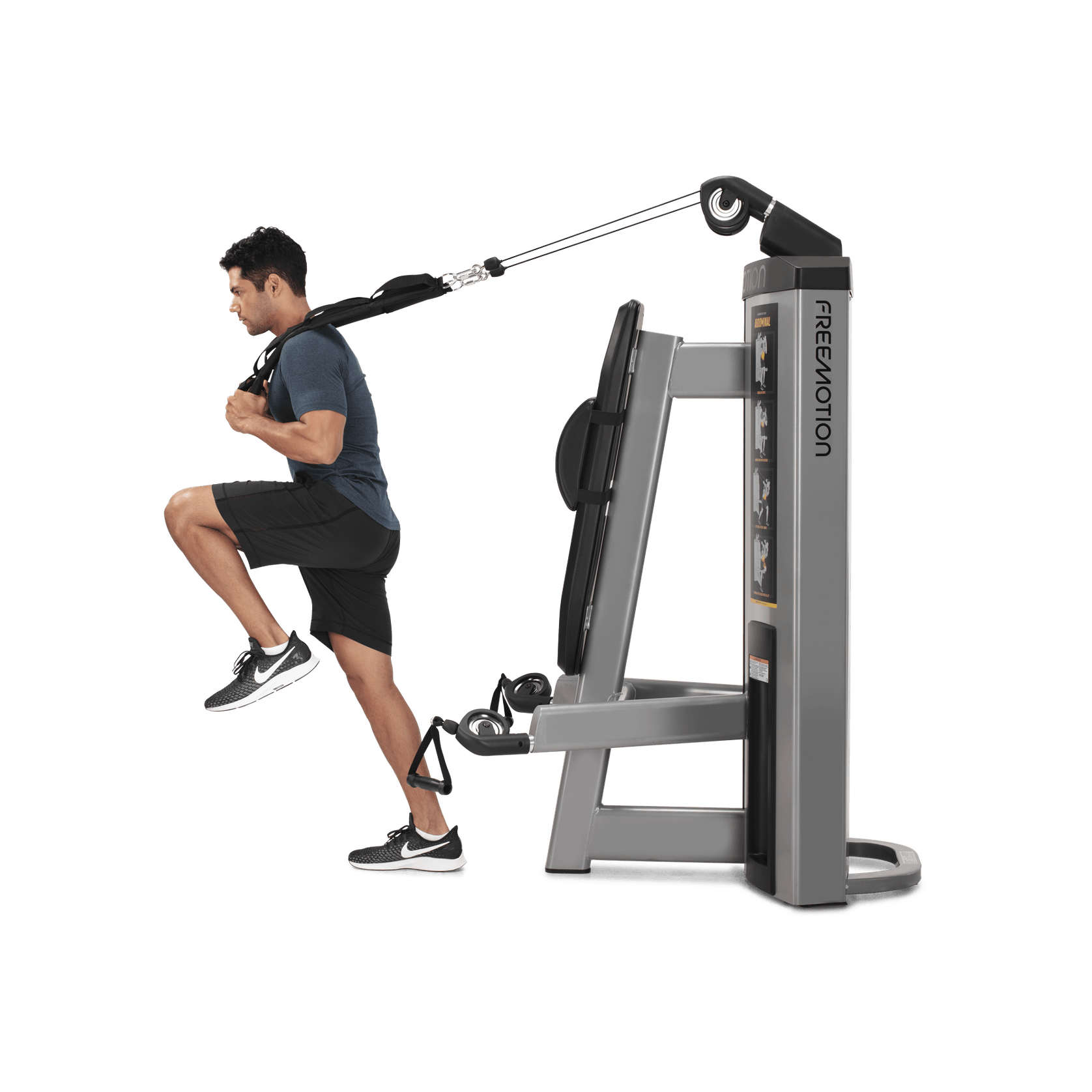 Abdominal / Biceps gallery detail image