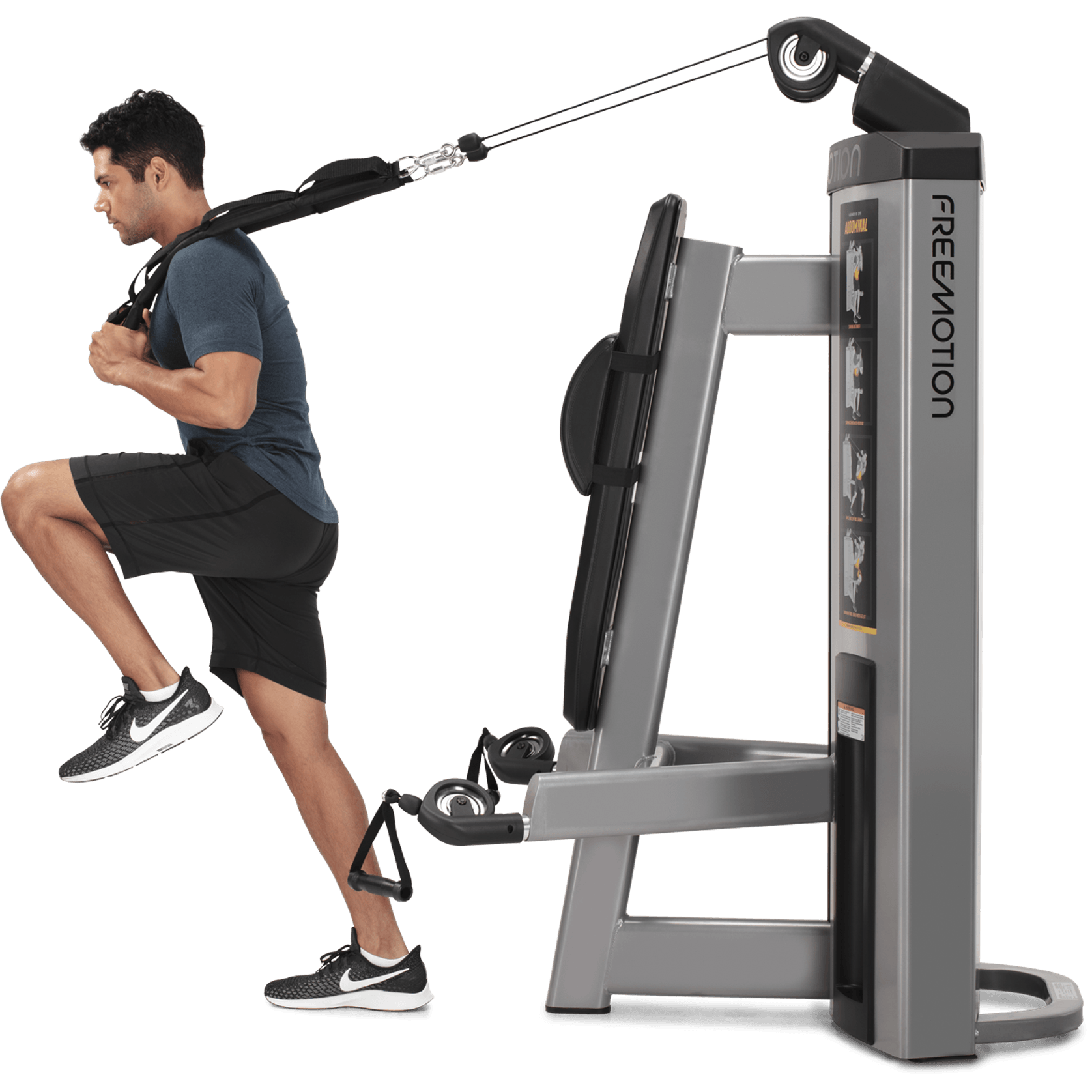 Abdominal / Biceps gallery detail image