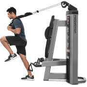 Abdominal / Biceps gallery detail image