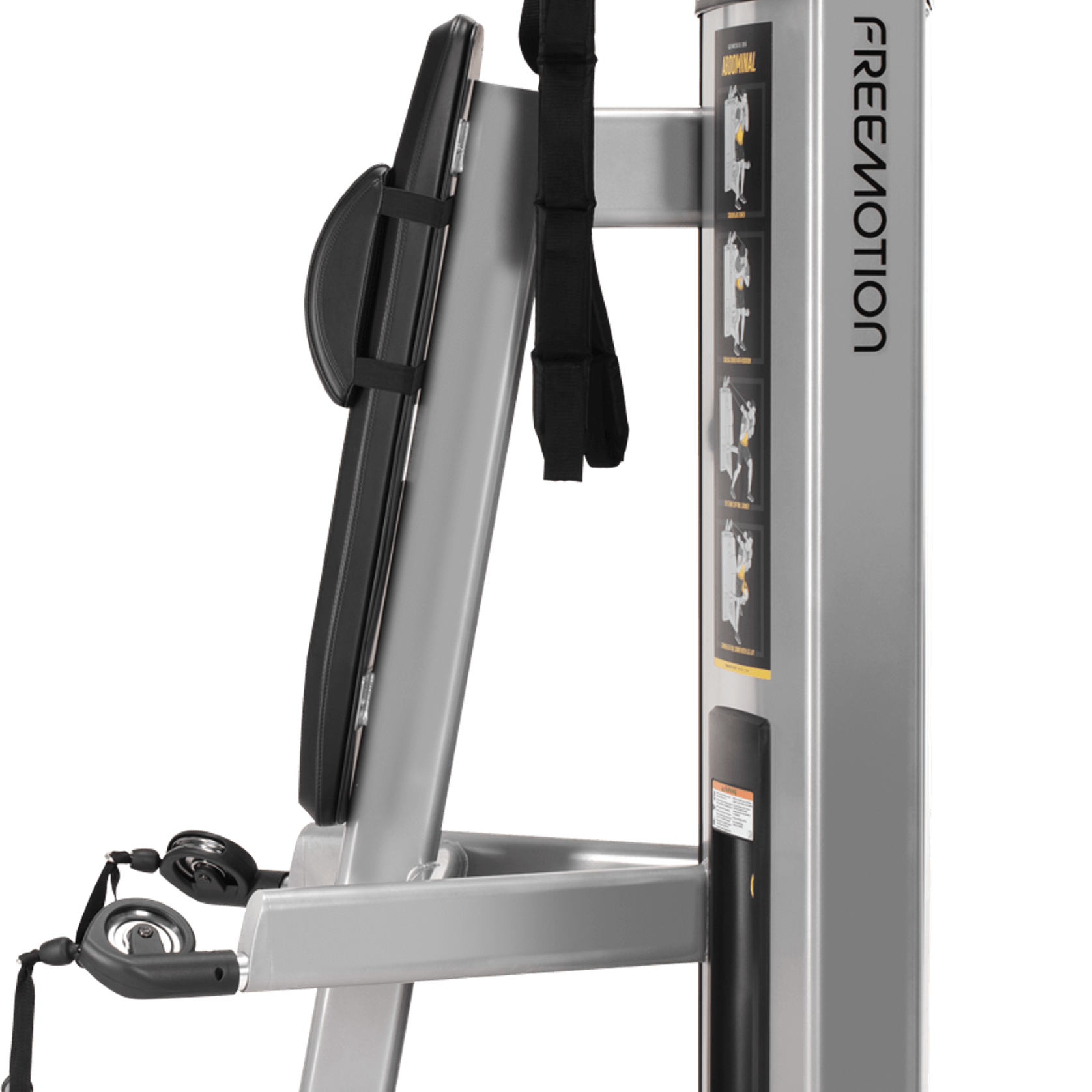 Abdominal / Biceps gallery detail image