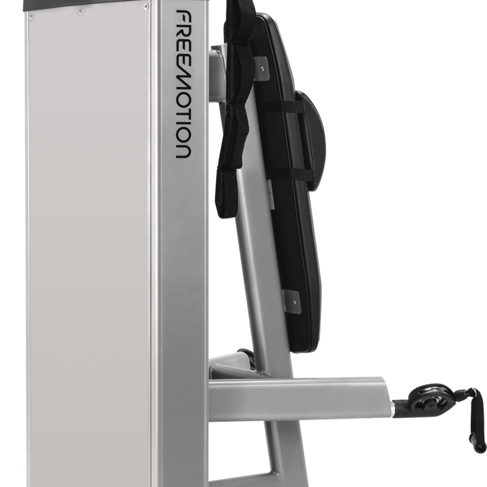 Abdominal / Biceps gallery detail image