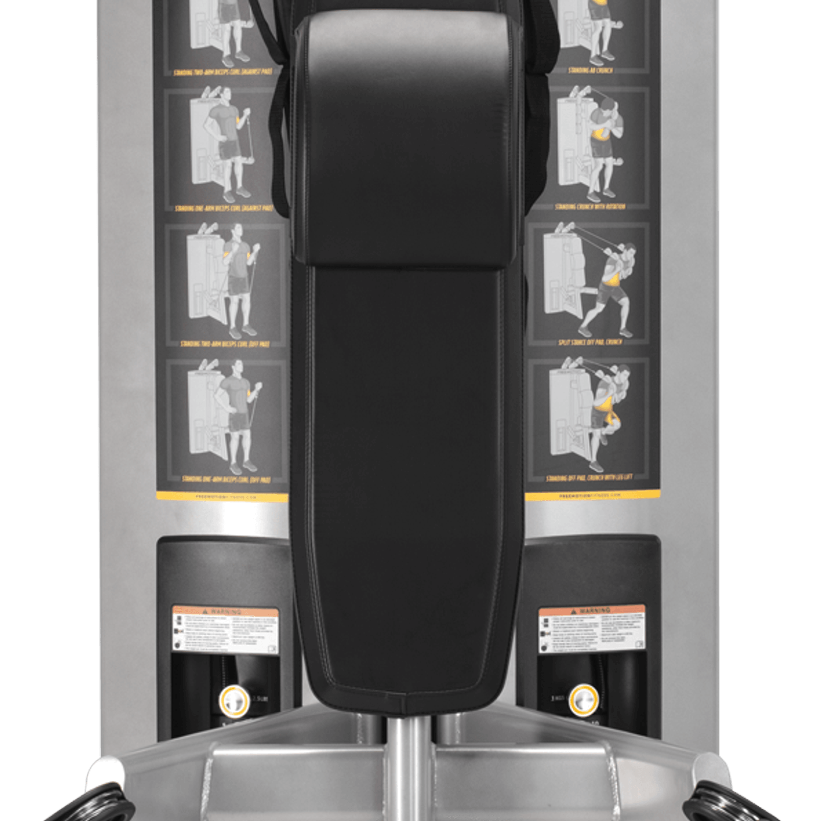 Abdominal / Biceps gallery detail image