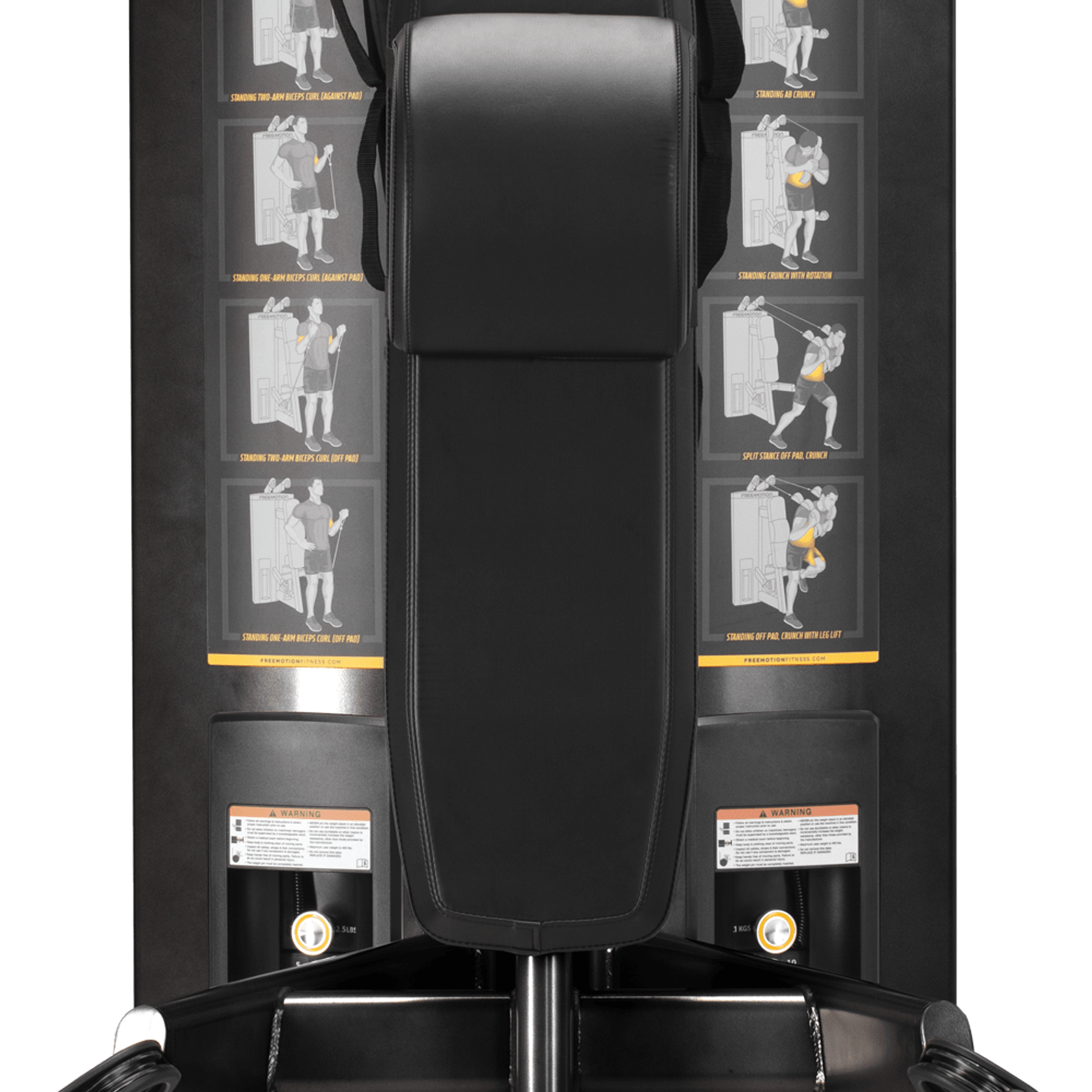 Abdominal / Biceps gallery detail image