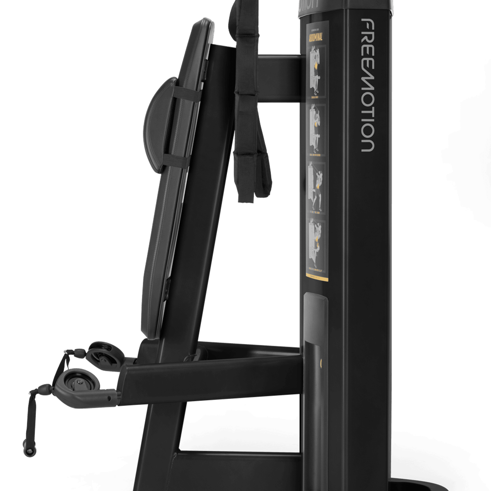 Abdominal / Biceps gallery detail image