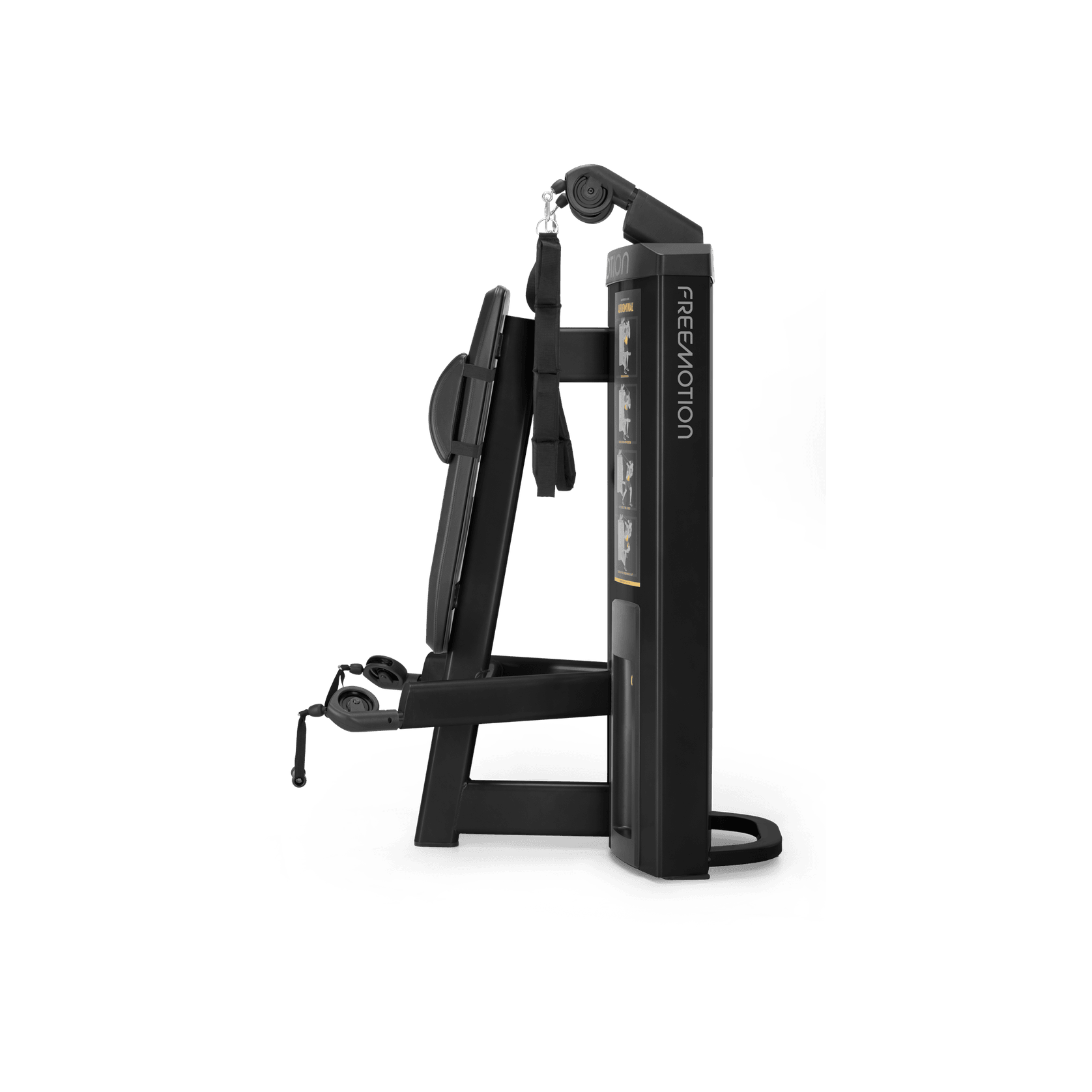 Abdominal / Biceps gallery detail image