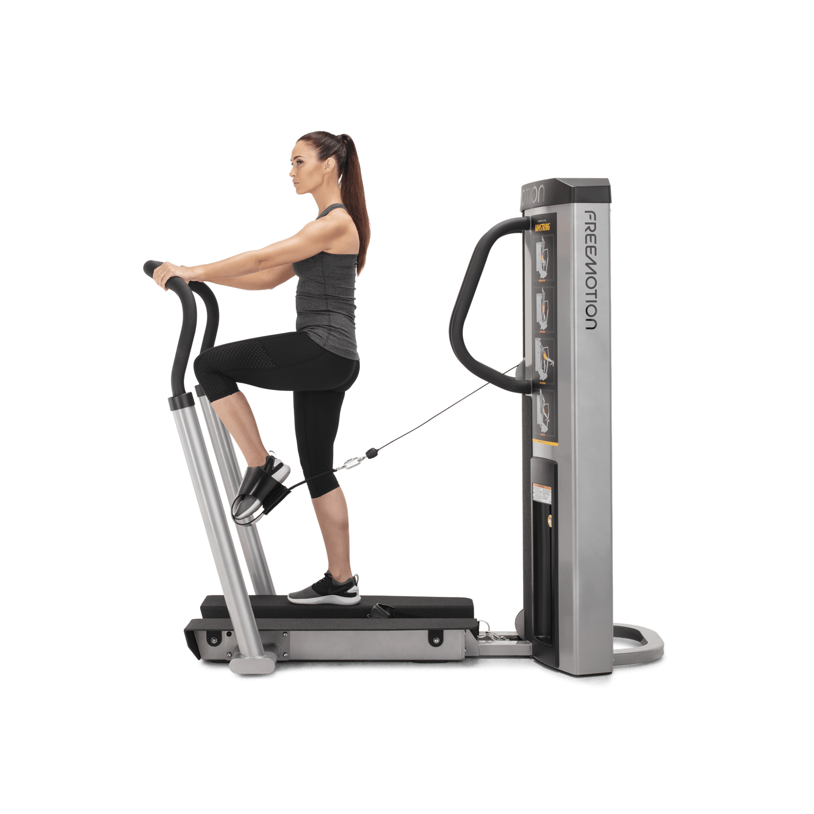 Quad / Hamstring gallery detail image