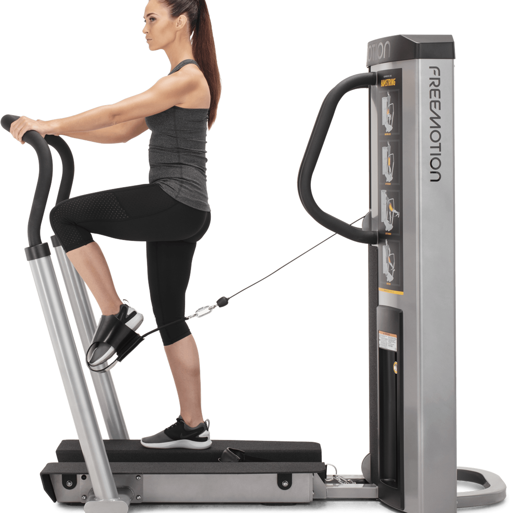 Quad / Hamstring gallery detail image