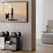 Connected Dumbbells gallery detail image