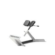 45° Back Extension gallery detail image