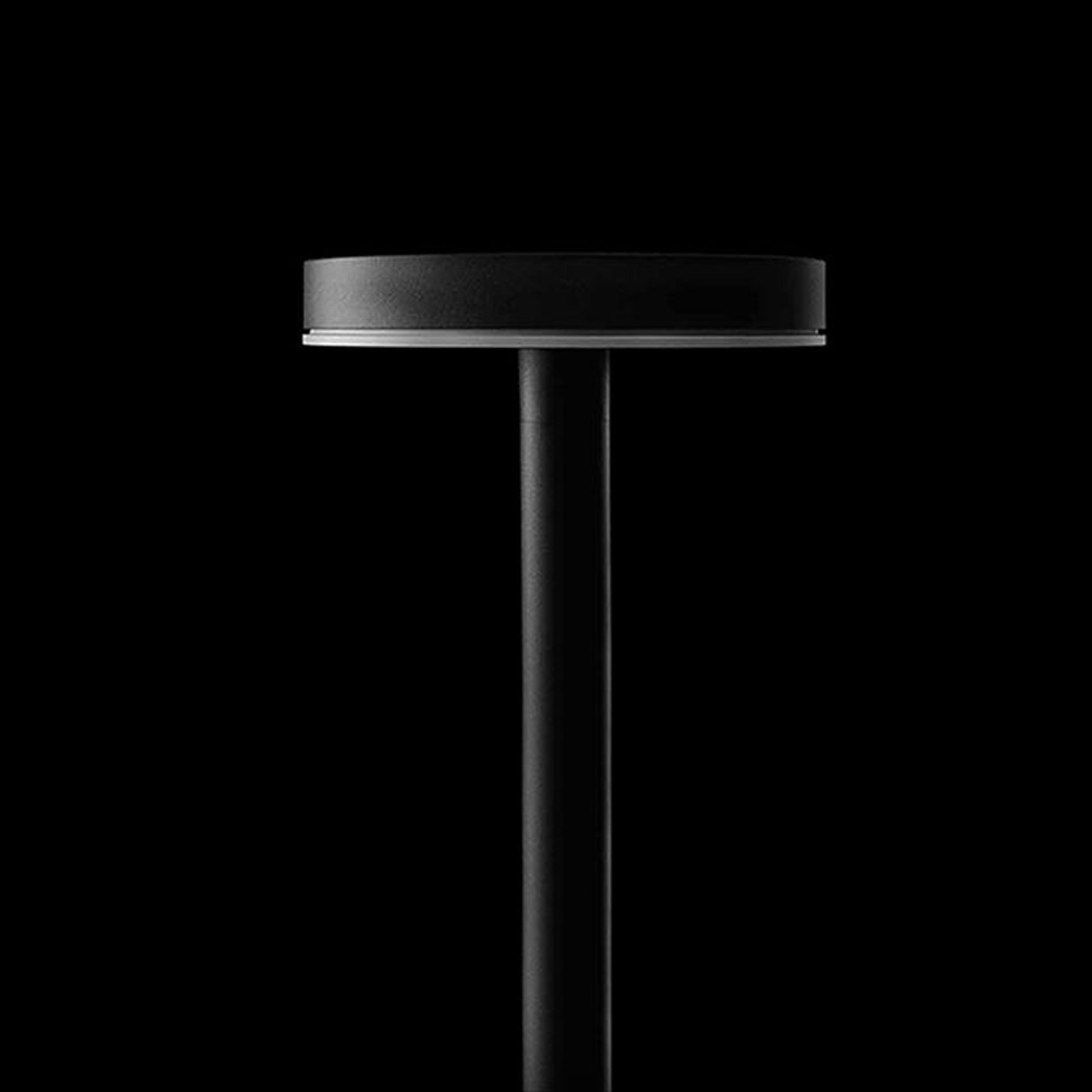 Pole Light Urban Distribution Rotosymmetric Cut Off gallery detail image