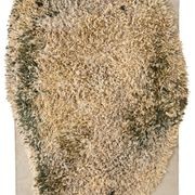 Alga Collection gallery detail image