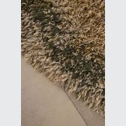 Alga Collection gallery detail image