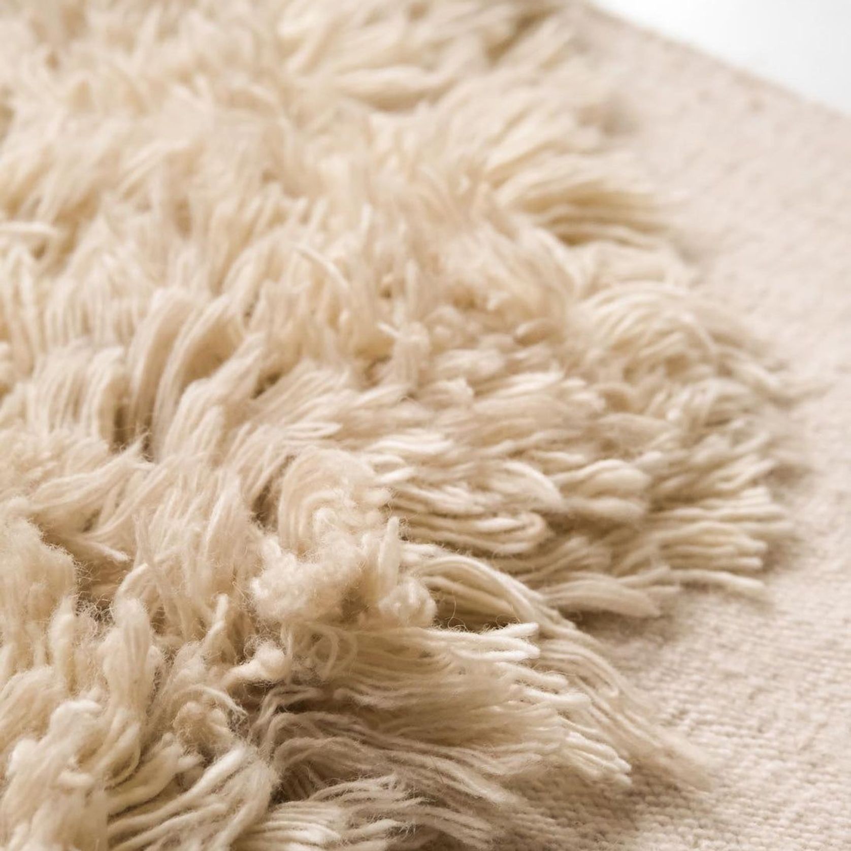 Alga Collection gallery detail image