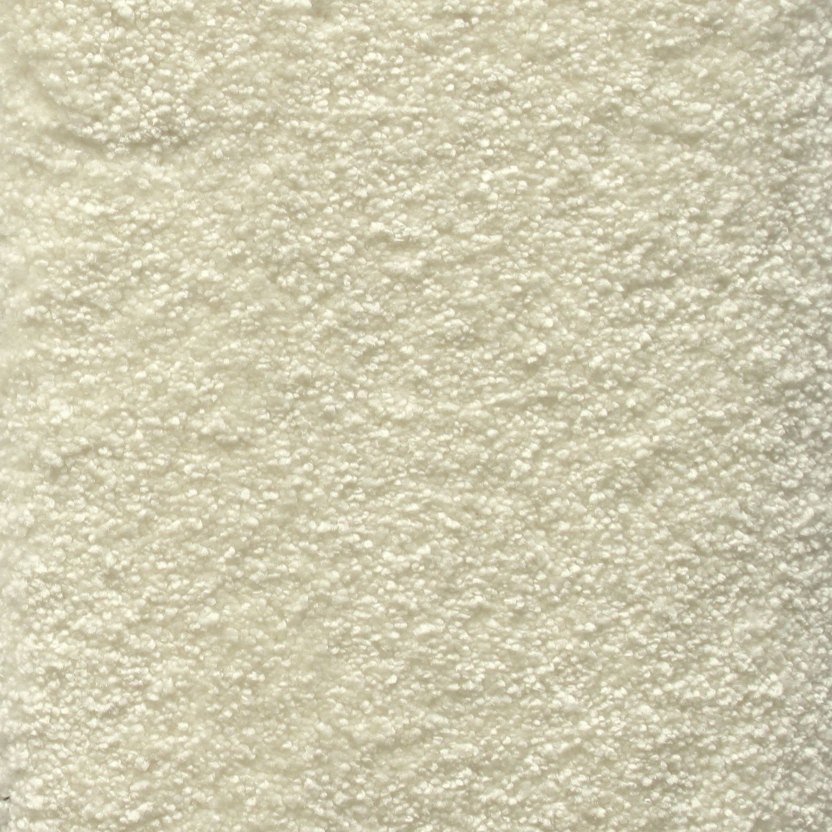 Bichon gallery detail image