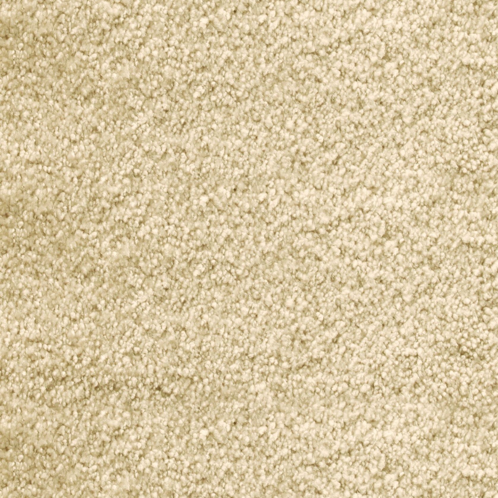 Bichon gallery detail image
