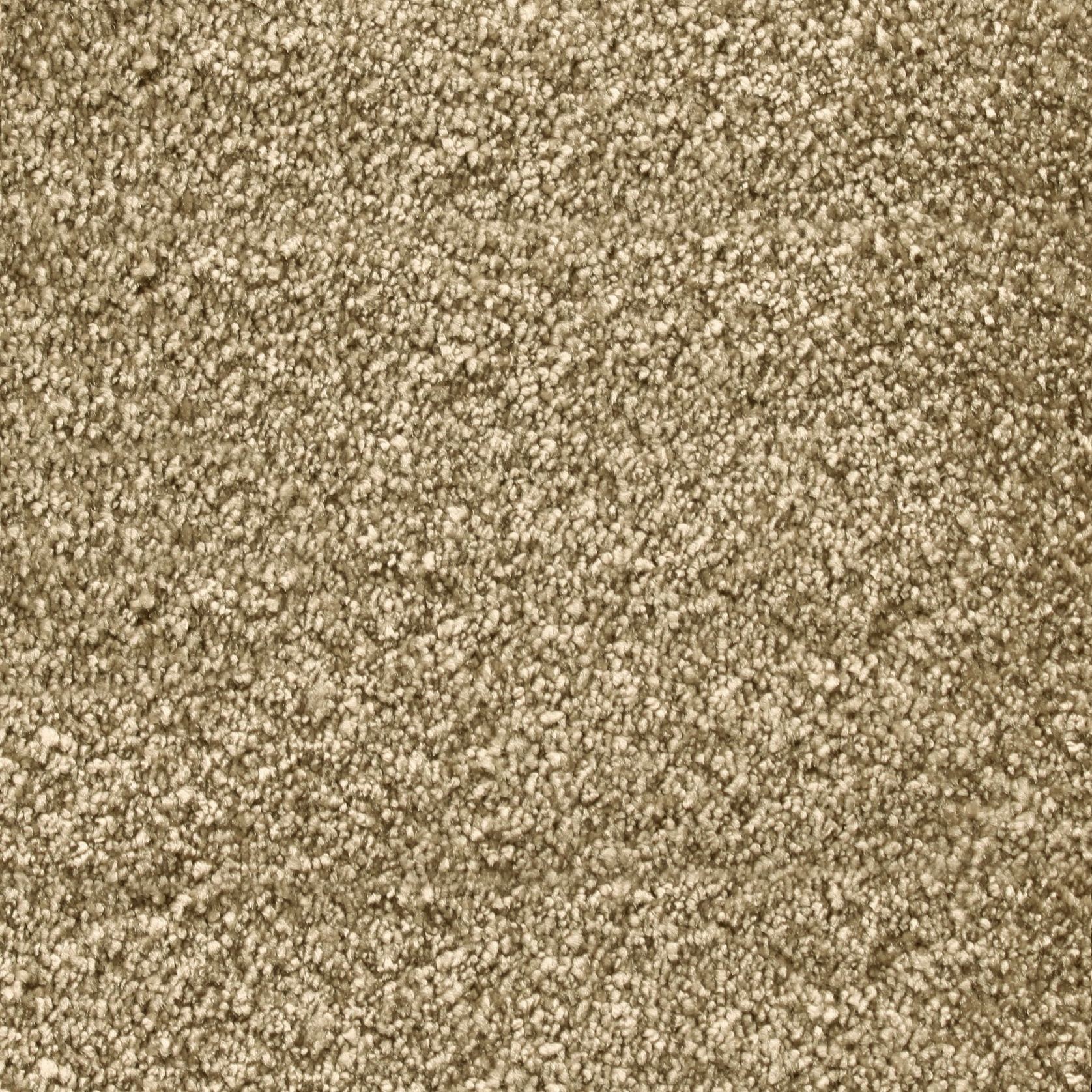 Bichon gallery detail image