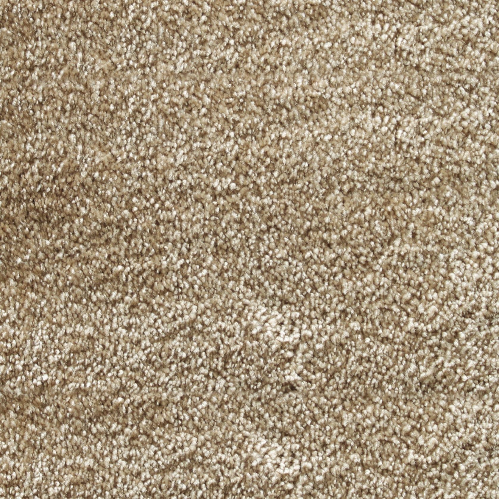 Bichon gallery detail image