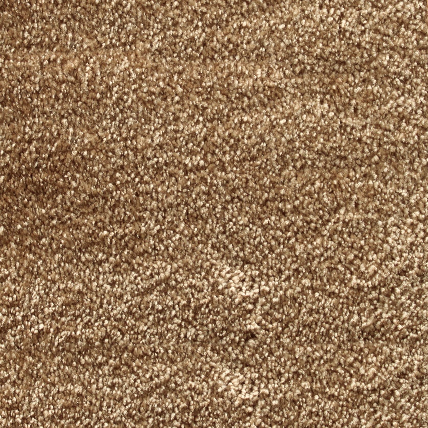 Bichon gallery detail image