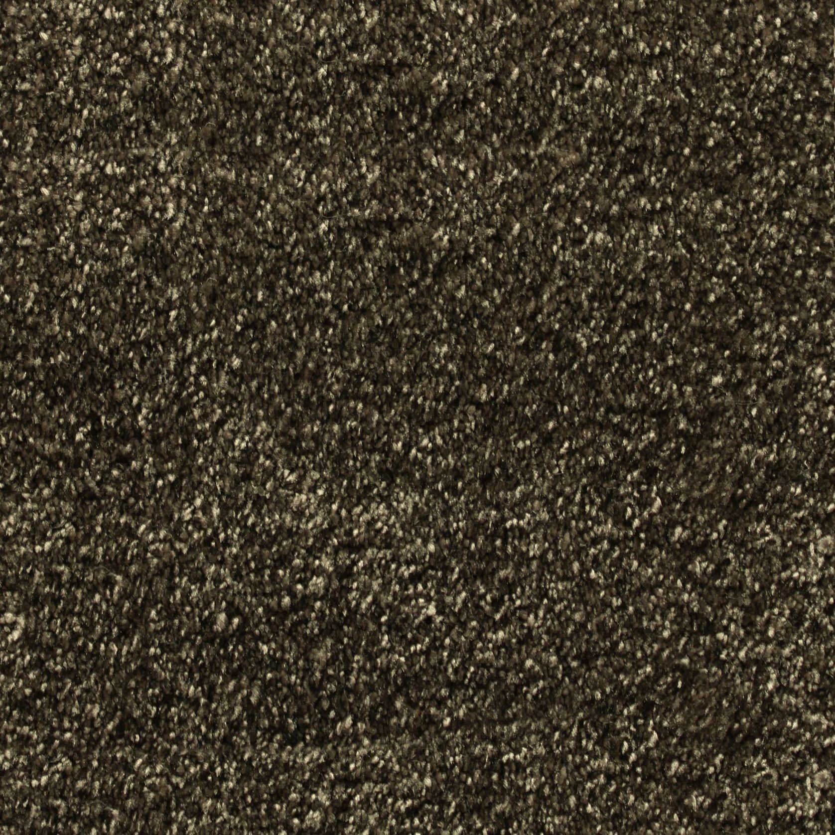 Bichon gallery detail image