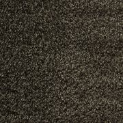Bichon gallery detail image