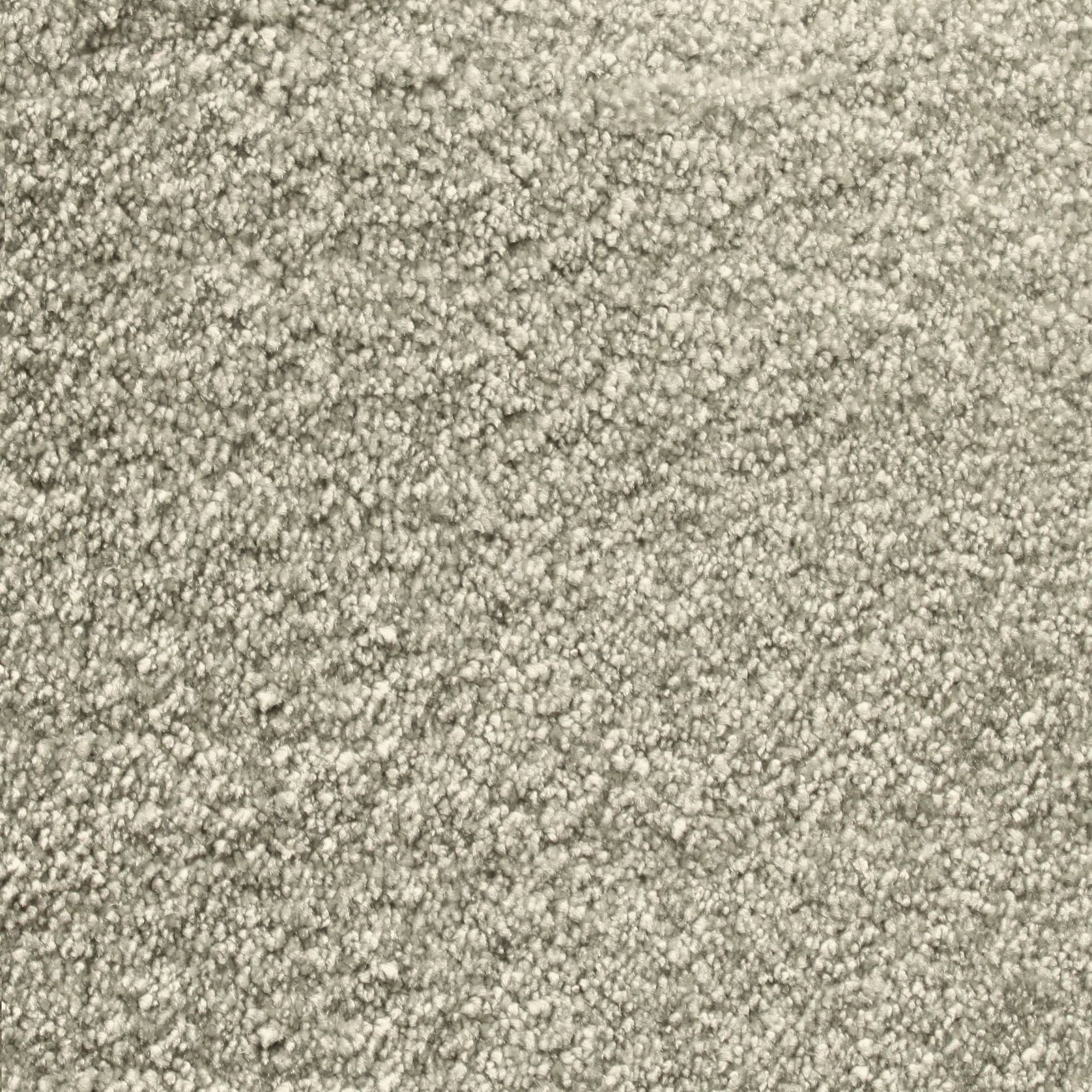 Bichon gallery detail image