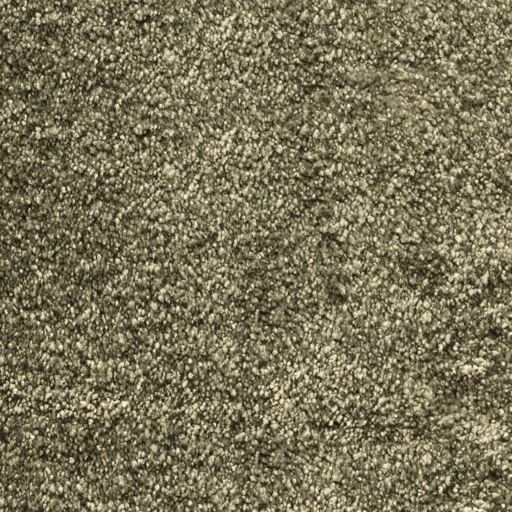 Bichon gallery detail image