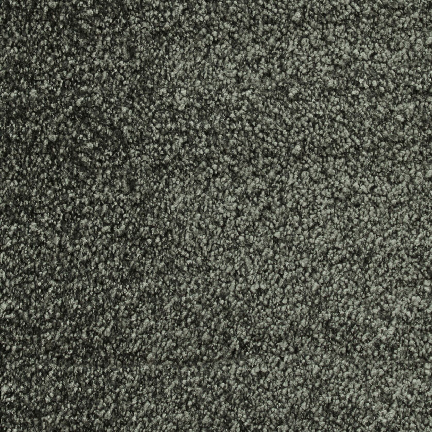 Bichon gallery detail image