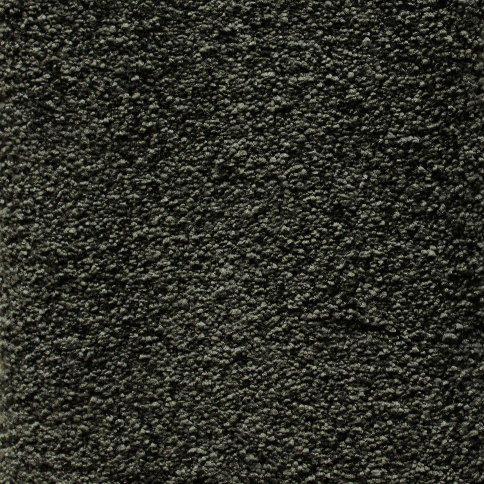 Bichon gallery detail image