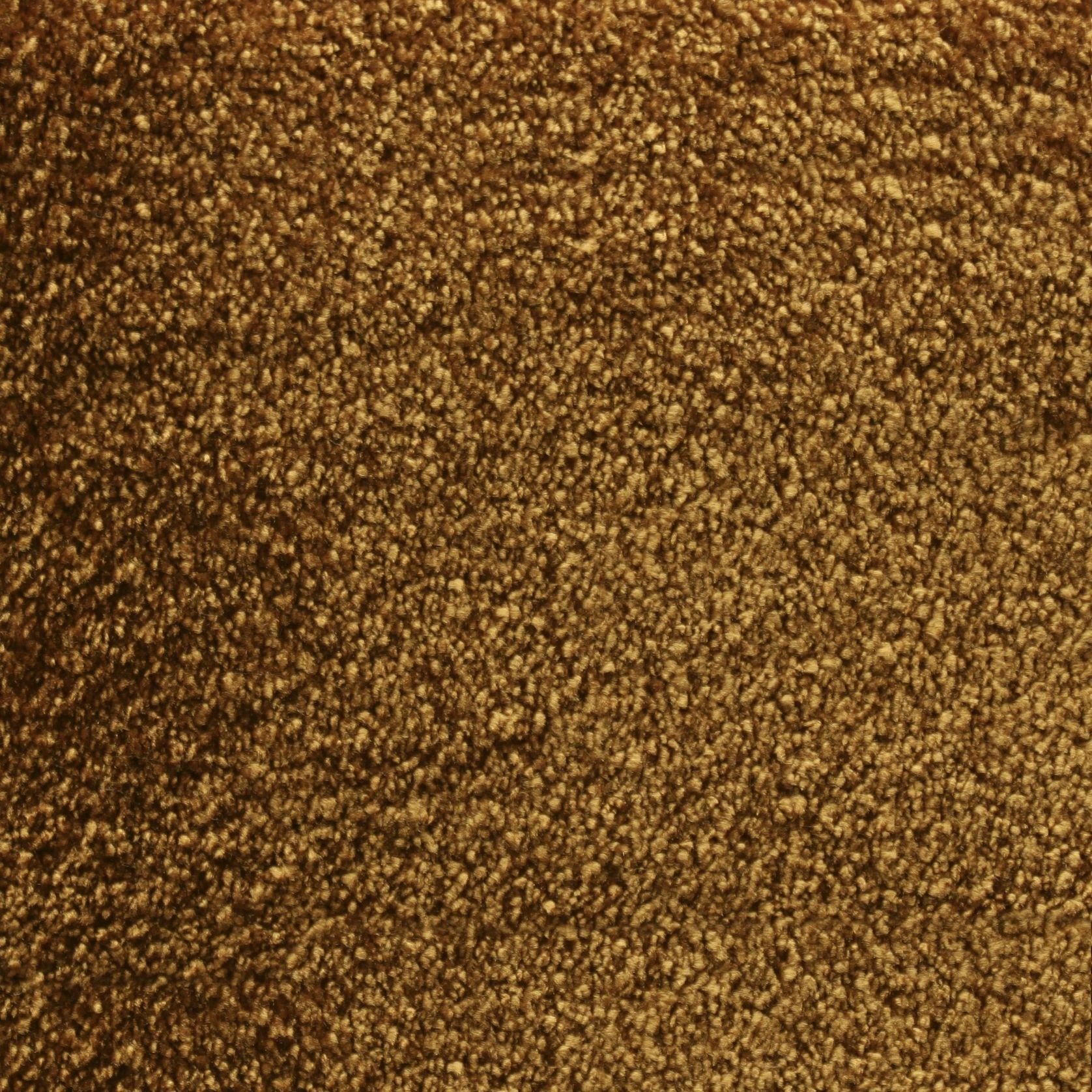 Bichon gallery detail image