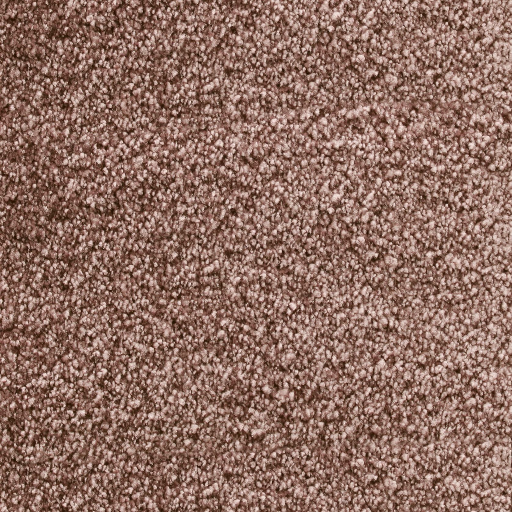 Bichon gallery detail image