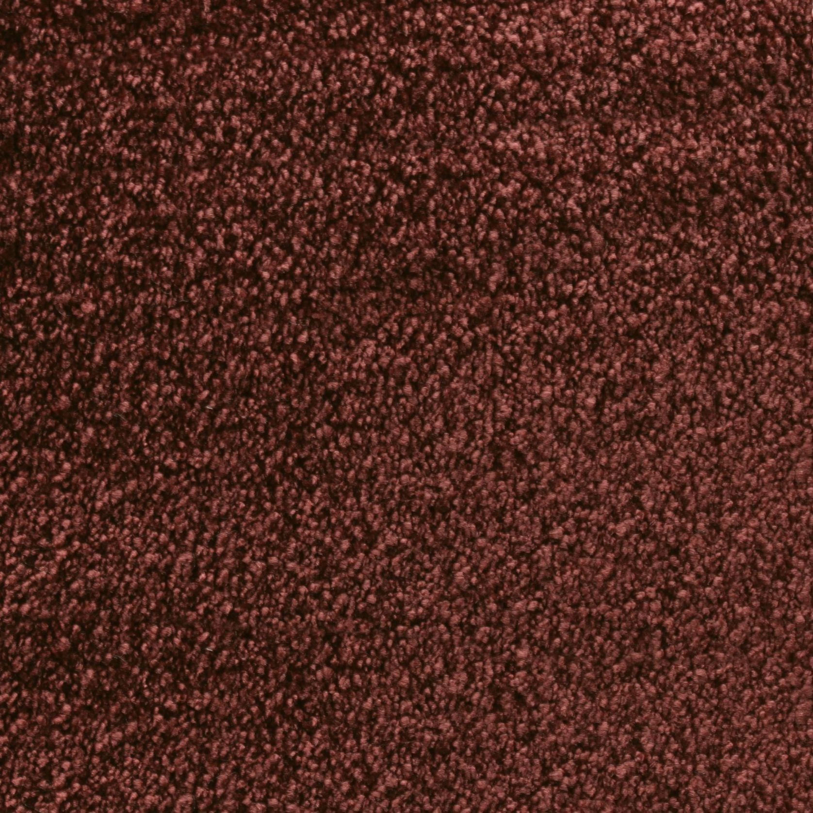 Bichon gallery detail image
