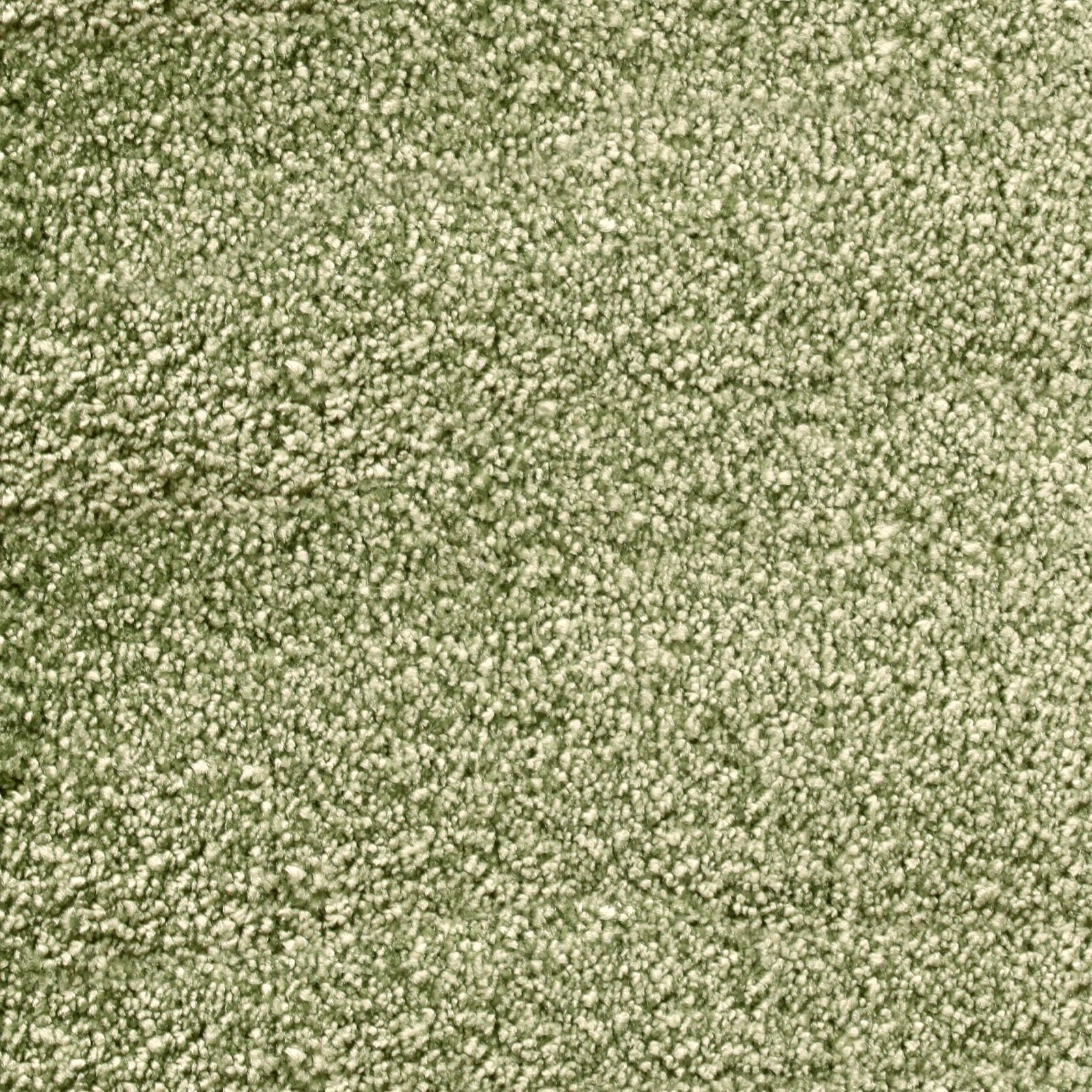 Bichon gallery detail image