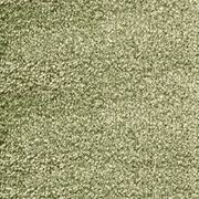 Bichon gallery detail image
