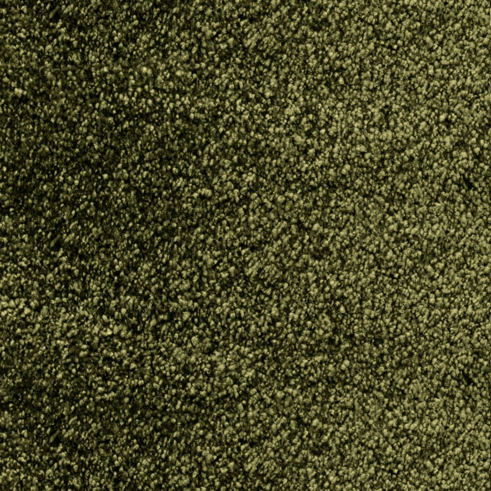 Bichon gallery detail image
