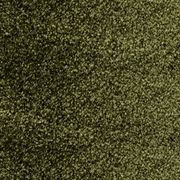 Bichon gallery detail image
