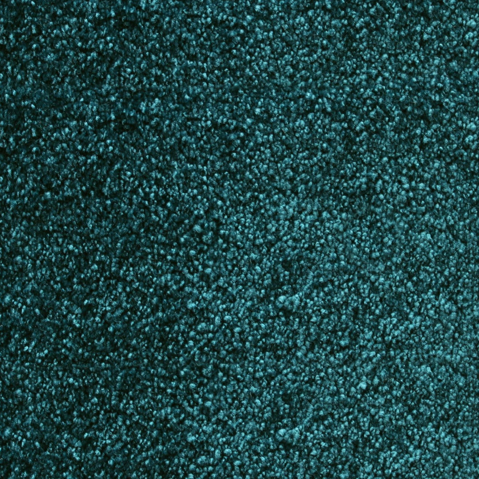 Bichon gallery detail image