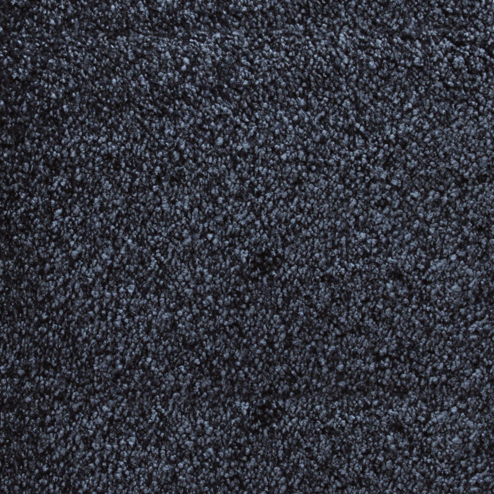 Bichon gallery detail image