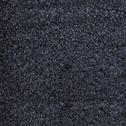 Bichon gallery detail image