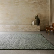 Armadillo Meadow Wool Rug gallery detail image