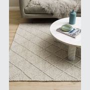 Baya Dakota Handwoven Textured Rug - Silver Birch gallery detail image