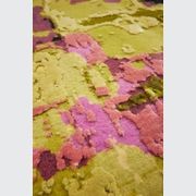 Golden fields gallery detail image