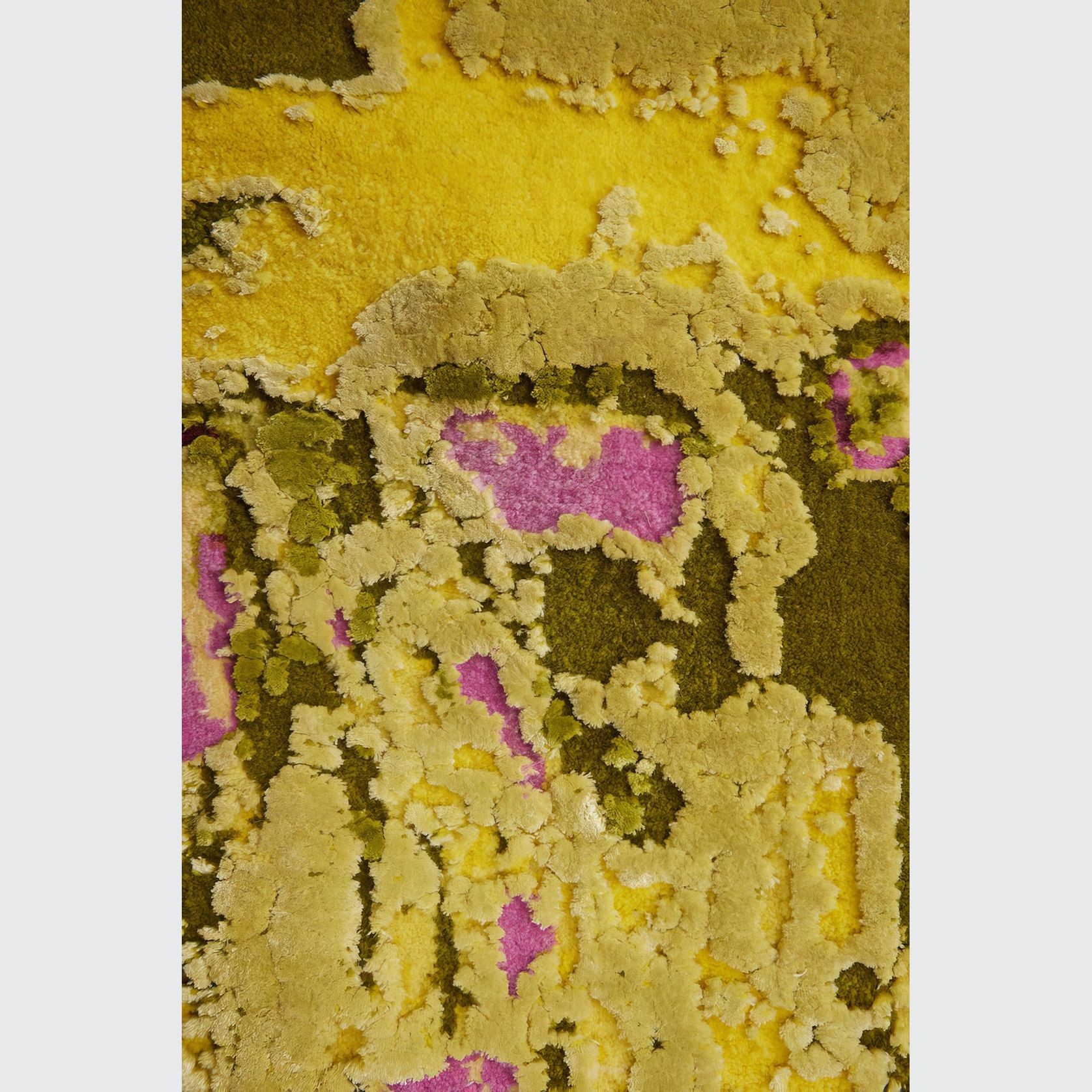 Golden fields gallery detail image