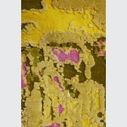 Golden fields gallery detail image