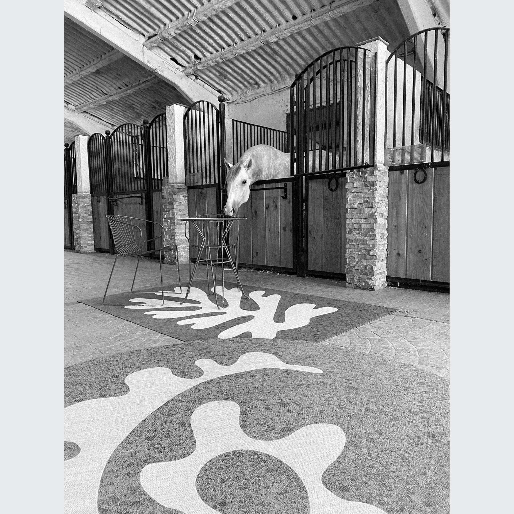 WOOP gallery detail image