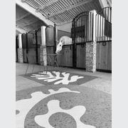 WOOP gallery detail image