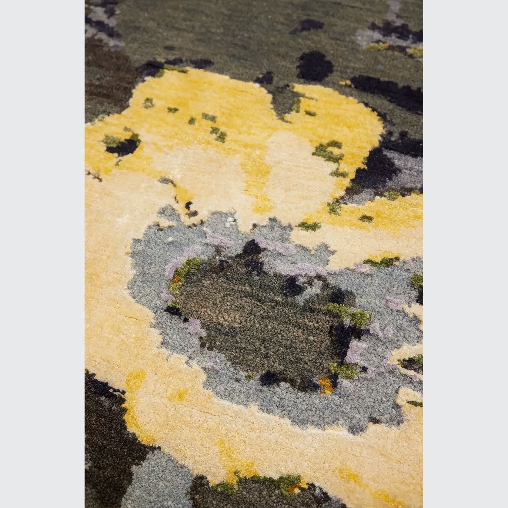 Yellow Everlastings gallery detail image