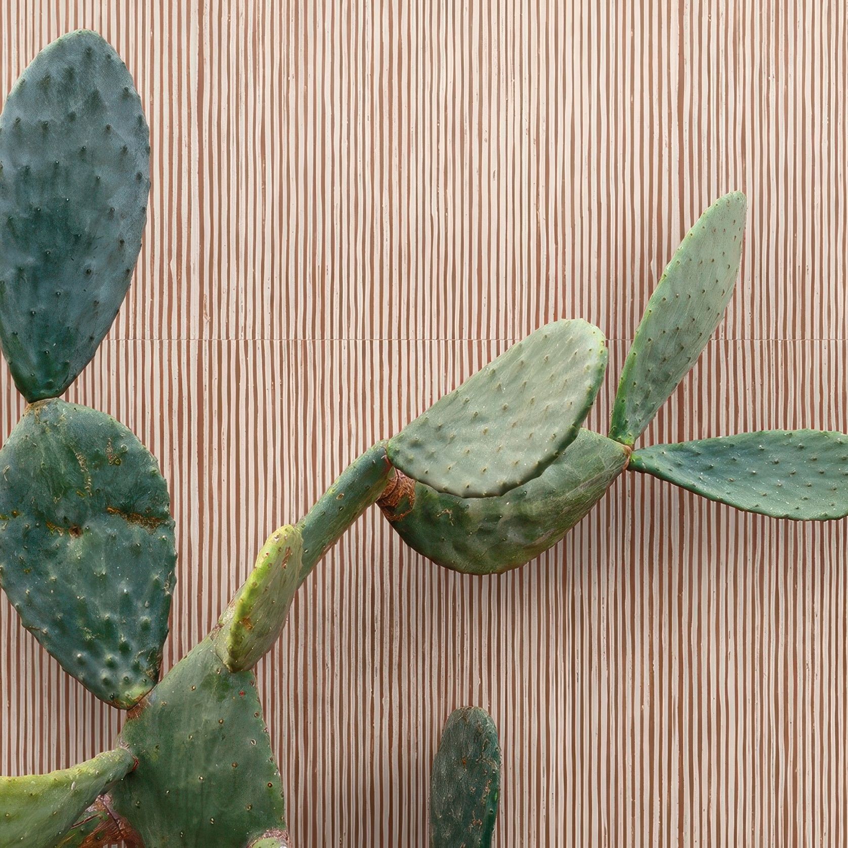 Sensi Terre | Porcelain Tiles gallery detail image