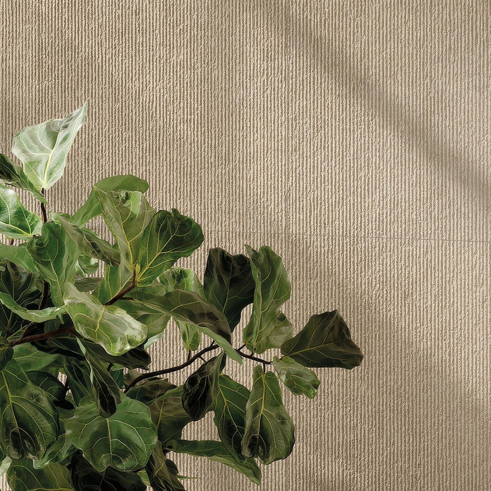 Eterea | Porcelain Tiles gallery detail image